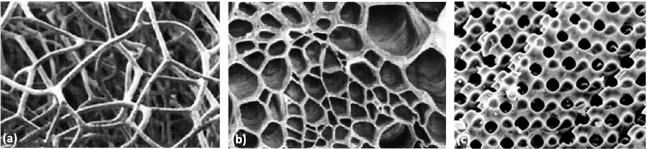 Shellular (PDF) Geometry-based structural form-finding to design architected ...