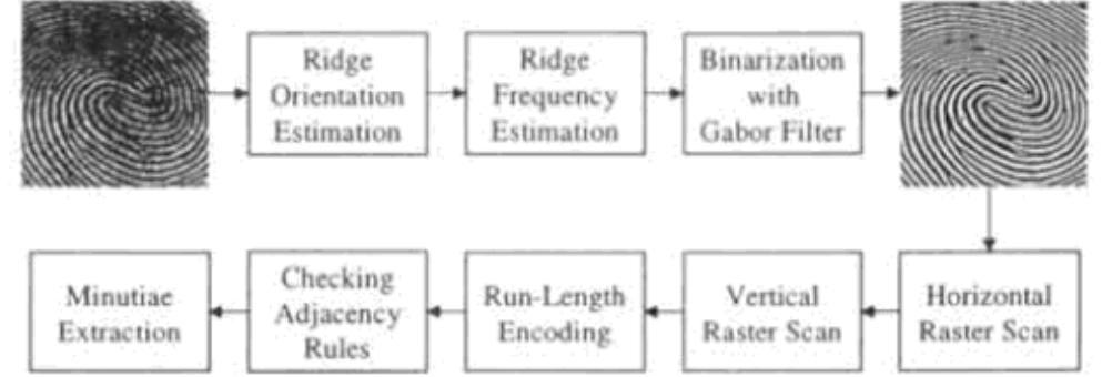 Block diagram of proposed minutiae extraction algorithm