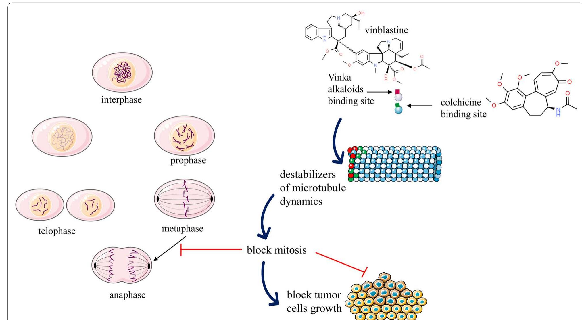 (PDF) Anticancer potential of alkaloids: a key emphasis to colchicine ...