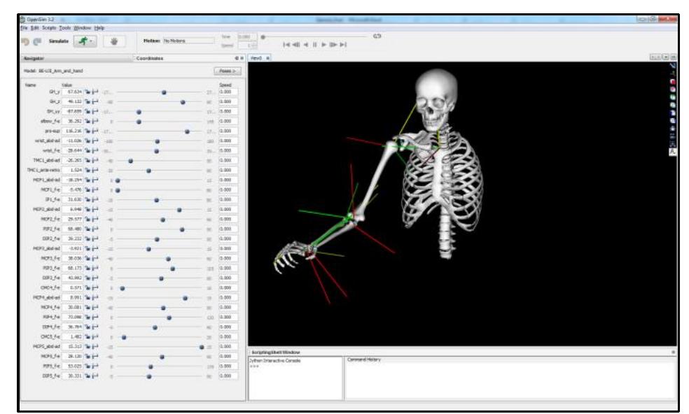 Hand Opensim (PDF) Evaluation of a motion tracking model of the upper limb ...