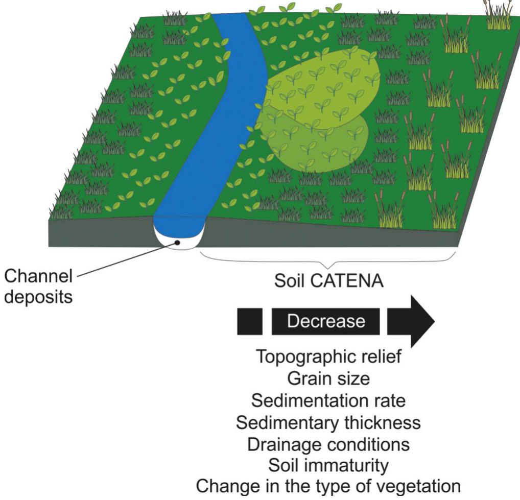 Figure 1 - from Implications of palaeosols in low