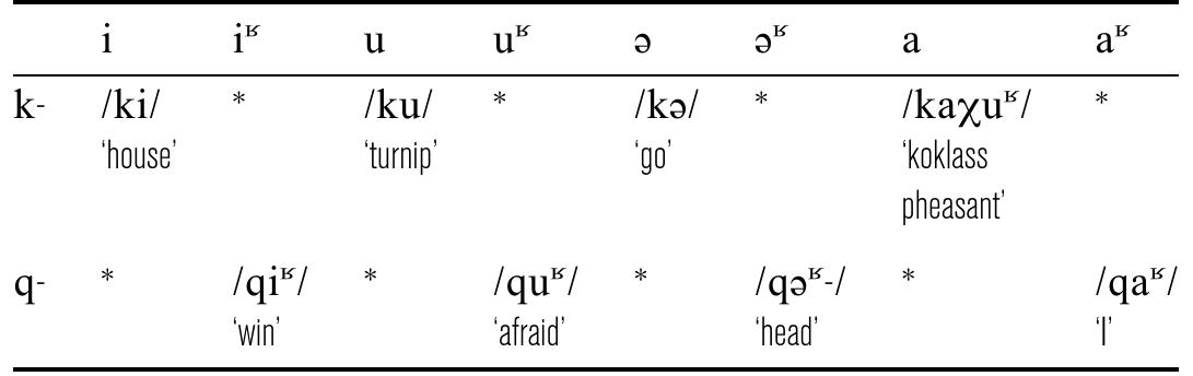 Table 6 Phonotactics of plain and uvularized vowels (Mawo). 