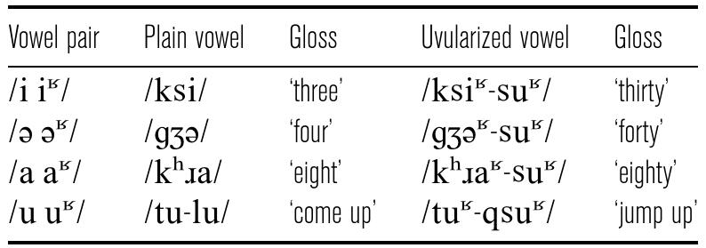Table 11. Yunlinsi plain-uvularized vowel pairs in harmony. 