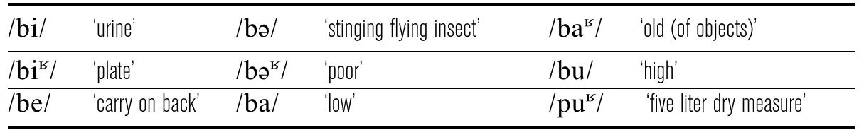 fable A2 Yunlinsi labial-initial forms uttered for ultrasound imaging. 