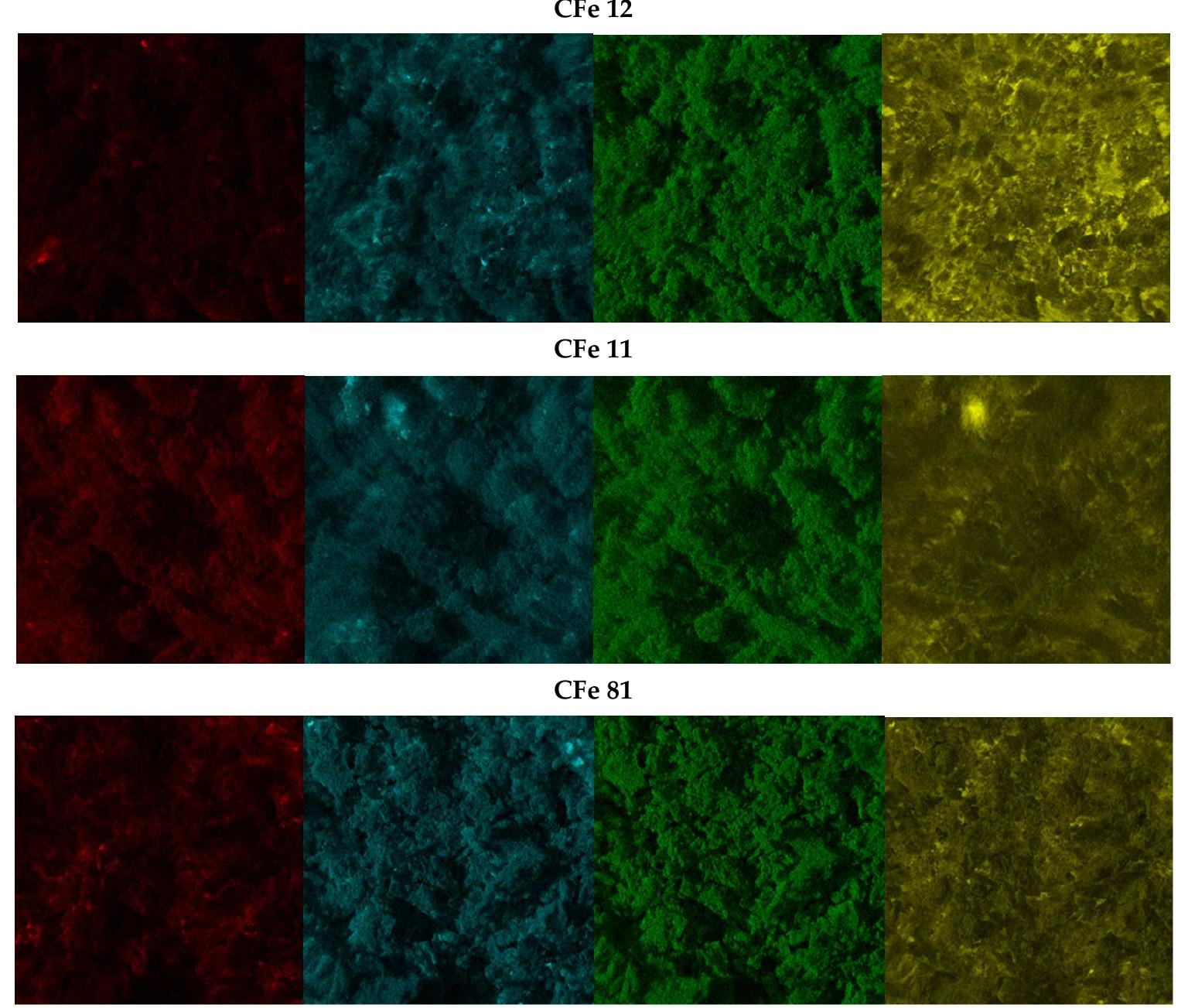 Figure 4. EDX images of CFe12, CFe11, and CFe81. Colour code: carbon in red, oxygen in blue, nitrogen in green, and iron in yellow. 