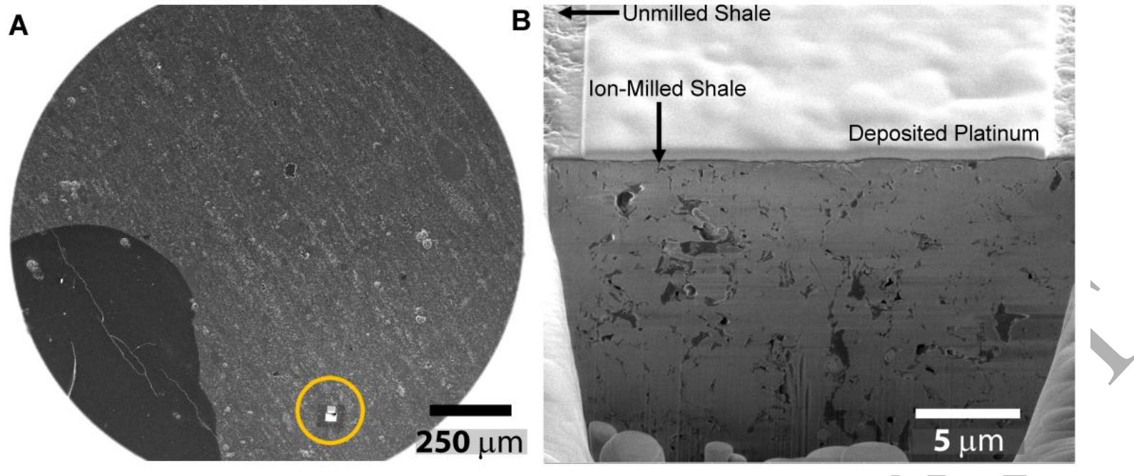 Fig. 1. (A) Low magnification SEM image of an example of a mechanically milled/smoothed shale sample surface (Sample D1) and the selection of a FIB-SEM site (within the circled region). (B) High magnification SEM image of the FIB-SEM site. Platinum is deposited onto the FIB-SEM site with the FIB-SEM instrument’s (FEI Company) material deposition system. The platinum helps reduce the accumulation offimpinging electrons or “charging”. Images were provided by Sandia National Labs (Albuquerque, NM). 