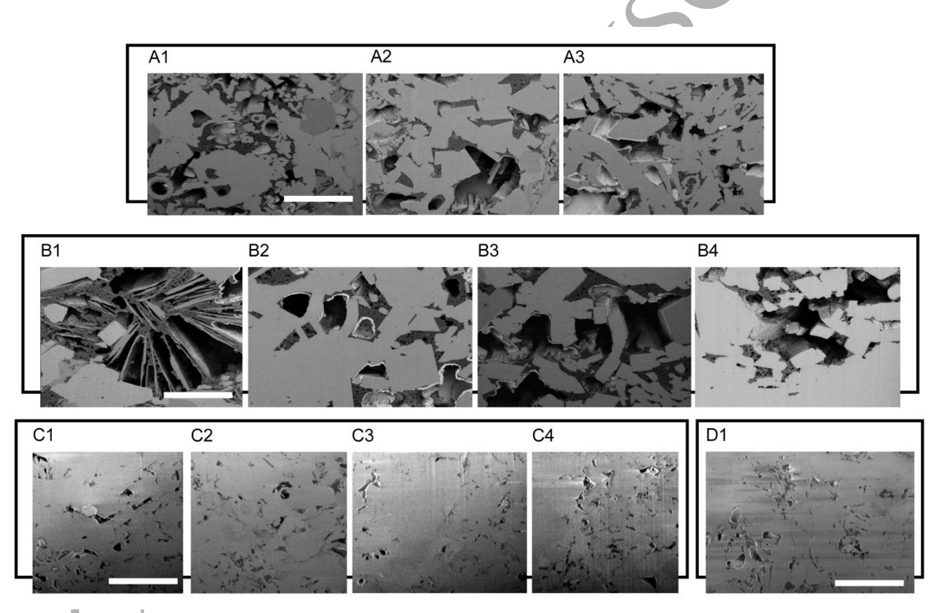 Fig. 2. Examples of single images from each analyzed FIB-SEM stack. Scale bars for each group are as follows (the scale is appftoximately the same from stack to stack within a group): A = 3.3 um, B = 2.9 um, C = 5.9 um, and D =  4.8 um),Note that images from Groups A and B are of superior quality, but that images from Groups C and D offer a larger field of view. Group C and D image stacks were provided by Sandia National Labs (Albuquerque, NM). 