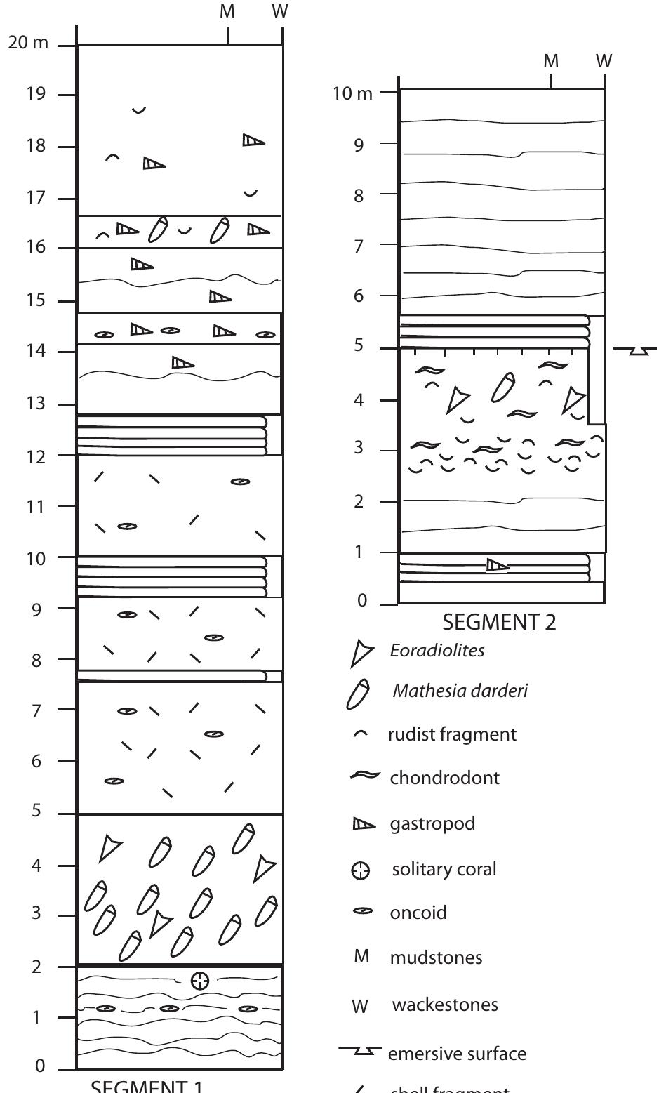 (PDF) Neogene Stratigraphy and Paleogeographic Evolution of the ...