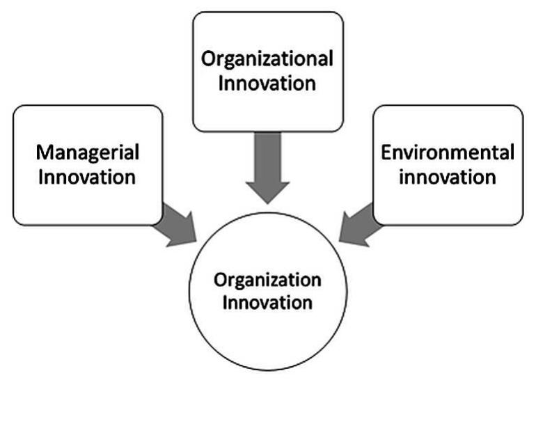 Managerial Depth (PDF) Managerial Innovation for Digital Healthcare Transformation