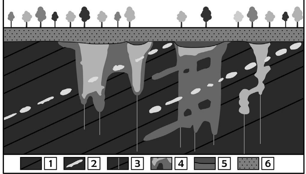 Karstification Examples A schematic diagram showing the main features of a limestone