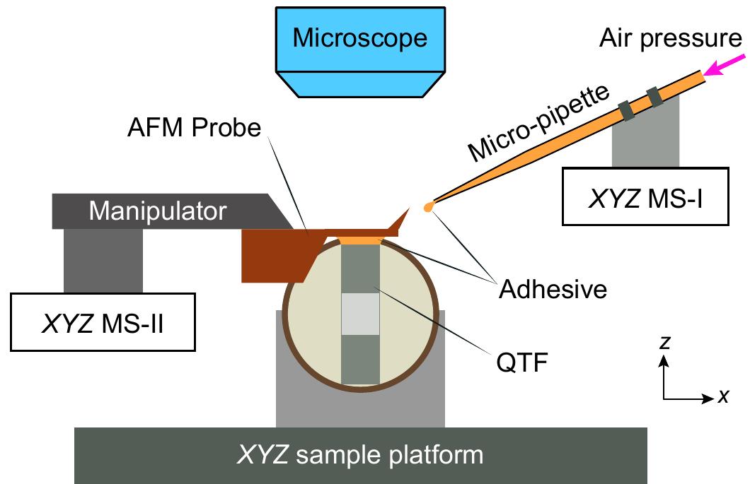 (PDF) Atomic Force Microscopy Sidewall Imaging with a Quartz Tuning ...