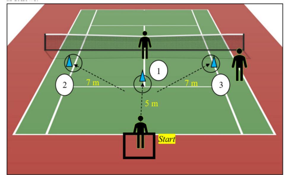 (PDF) Validity and Reliability of Reactive Agility Measurements of ...