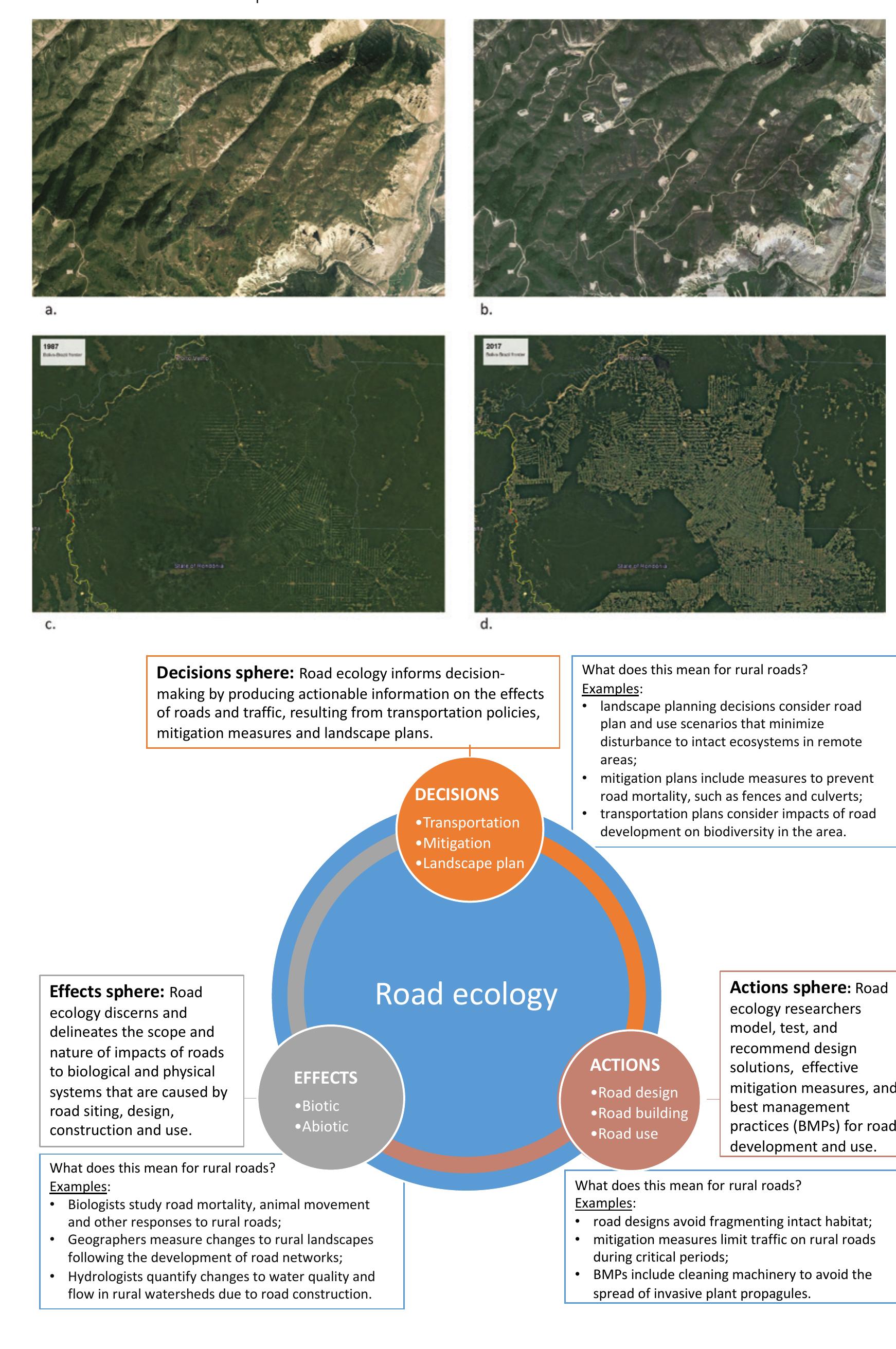 (PDF) The Ecology of Rural Roads Effects Management and Research