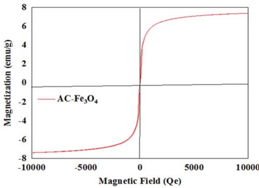Magnetization hysteresis loops at room temperature of the