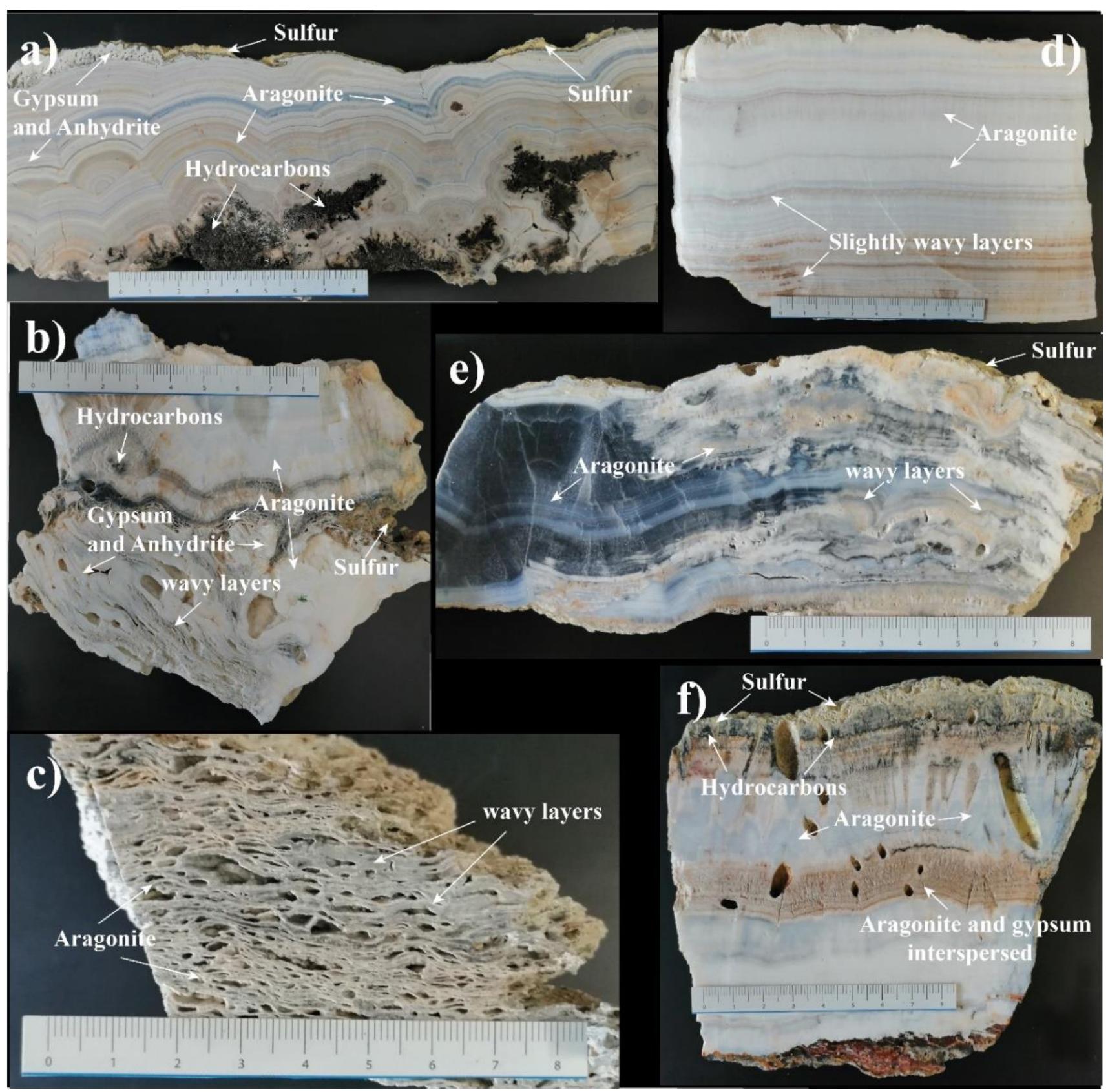 Figure 5. Main textural varieties observed in travertines. (a) Wavy homopachous aragonite layer: of different colorations and some very thin interspersed layers of sulfates (gypsum and anhydrite) Native yellow sulfur crystals can be observed on the surface of the sample. The crystals of aragonite 1ave different sizes and are mainly arranged in radial aggregates of fibrous crystals. The radial fan: lave an approximate diameter of 1 cm and their core is formed by solid hydrocarbon fragments black coloration) (Tami. 3.1). (b) Cross-section of the sample Tami 1.2, formed by slightly wavy 1omogeneous and compact layers of aragonite in the upper section and more porous sheets witl -vidence of soft-sediment deformation in the lower section. (c) Cross-section of sample Tami 1.1 ‘ormed by porous wavy layers of aragonitic composition. The porosity is of fenestral type. This sample was taken in the highest part of the formation near the gas emanation. (d) Plane heter »pachous aragonite layers with different thicknesses and some interspersed thin layers of sulfates gypsum and anhydrite) and low native sulfur. A sample was taken from the thicker white centra sand for lanthanide analysis (Tami BC). (e) Blue wavy layers of aragonite with evidence of soft sediment deformation on the left section. A sample was taken from the thicker blue central band fo: anthanide analysis (Tami AC). (f) Little porous and almost horizontal levels of aragonite (mainly  Sulfur is abundant, unevenly distributed, and occurs as botryoidal aggregates of an- hedral crystals, often associated with iron oxides, making it difficult to observe in a trans- mitted light microscope (Figure 7d). Small layers of native sulfur and hydrocarbons (Fig- ure 6g) are also found between the different aragonite layers. Associated with the presence of sulfur, it is also common to find aggregates of euhedral to subhedral crystals of gypsum and anhydrite (Figure 7b,c). These minerals are mainly found filling the cavities that exist between the aragonite crystals, but it is also common to find them forming thin layers interspersed between the carbonate layers  