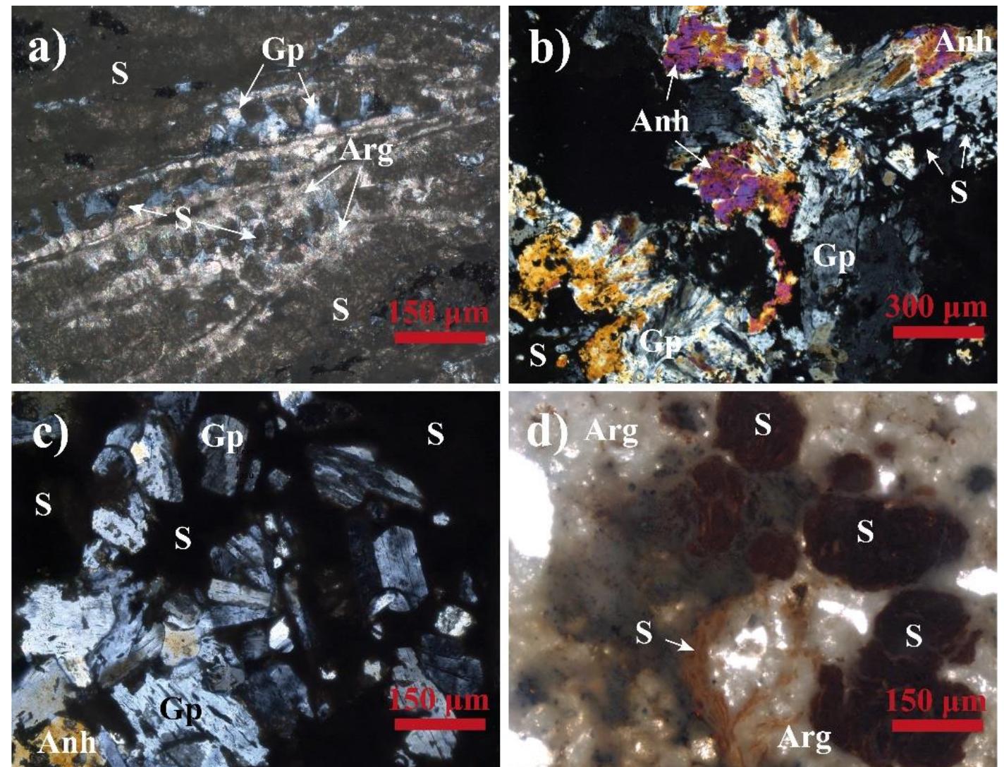 Figure 7. Small layers of native sulfur between the different aragonite layers (a) (Tami. 8.1). Gypsum, anhydrite, and native sulfur filling cavities (b,c) (Tami #5). Native sulfur appears mainly as irregular or botryoidal aggregates of small crystals with low crystallinity (d) (Tami #5). Arg—aragonite; Anh—anhydrite; Gp— gypsum; S—native sulfur. Table S1 (Supplement 1) shows the mineralogic results obtained by XRD, except for the Tami 8.1 that was not analyzed. 