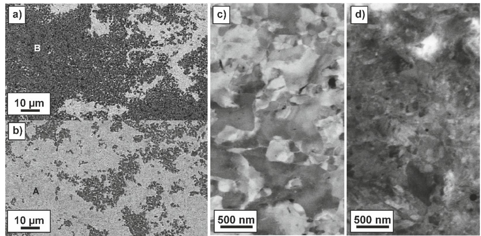 Sem images of the microstructure of the as-fabricated,