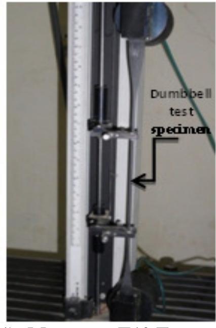 Tensometer Factor (PDF) The Flexing Fatigue Properties of Filled Rubbery Compounds under ...
