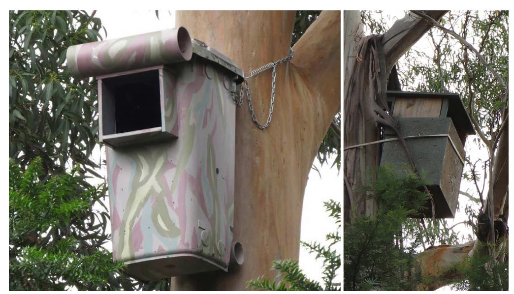 Fig. 5. Existing nest designs for the powerful owl. (left) A repurposed wheelie- bin nest. (© Dan Parker and Stanislav Roudavski. Photo: Gio Fitzpatrick.) (right) A nest box. (© Dan Parker and Stanislav Roudavski. Photo: Ed McNabb.) 