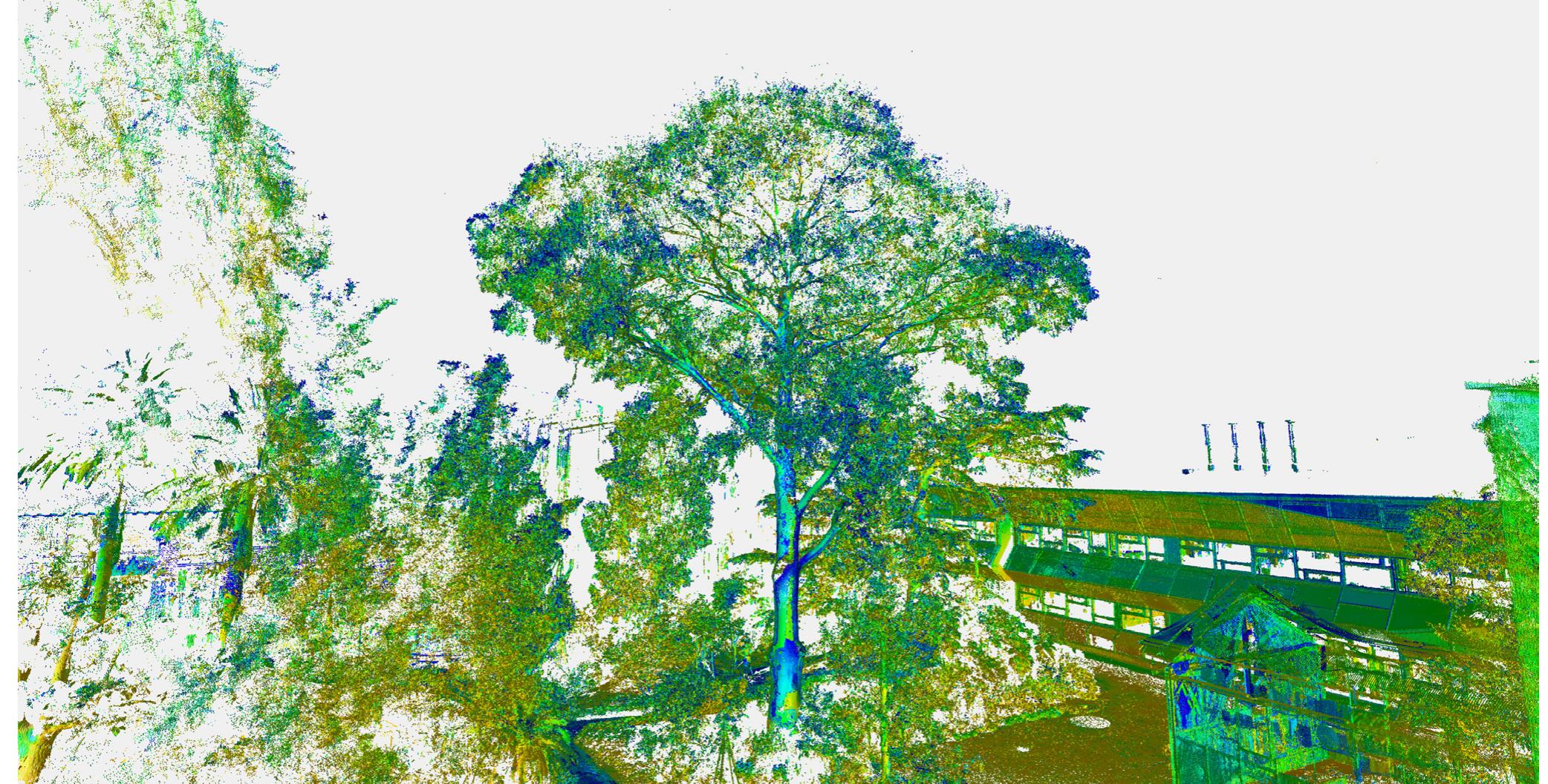 Fi ig. 3. 3D scanned host-tree in Parkville, Melbourne. 3D scanning supports the semi-automated selection of installation locations based on human and nonhuman preferences (Fig. 4) and allows for the adjustment of prosthetic nests to the specific geometries of host- structures. 