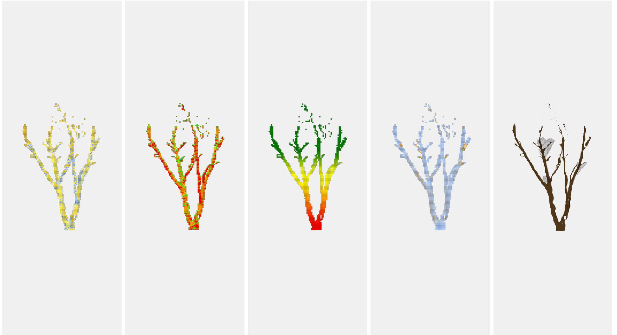Fig. 4. 3D scanning analysis to locate suitable locations for prosthetic additions based on known owl preferences and human installation constraints. Left: areas facing towards the less exposed orientation (south-east [15]) (yellow). Left-middle: crotch junctions and angle of branches facing upwards for easy installation (green). Middle: areas within the usual heights of natural hollows that owls use (over 8  meters above ground [16]) (green). Right-middle: branches deemed structurally sound (blue). Right: suggested locations for prosthetic nest additions on a dead tree. 
