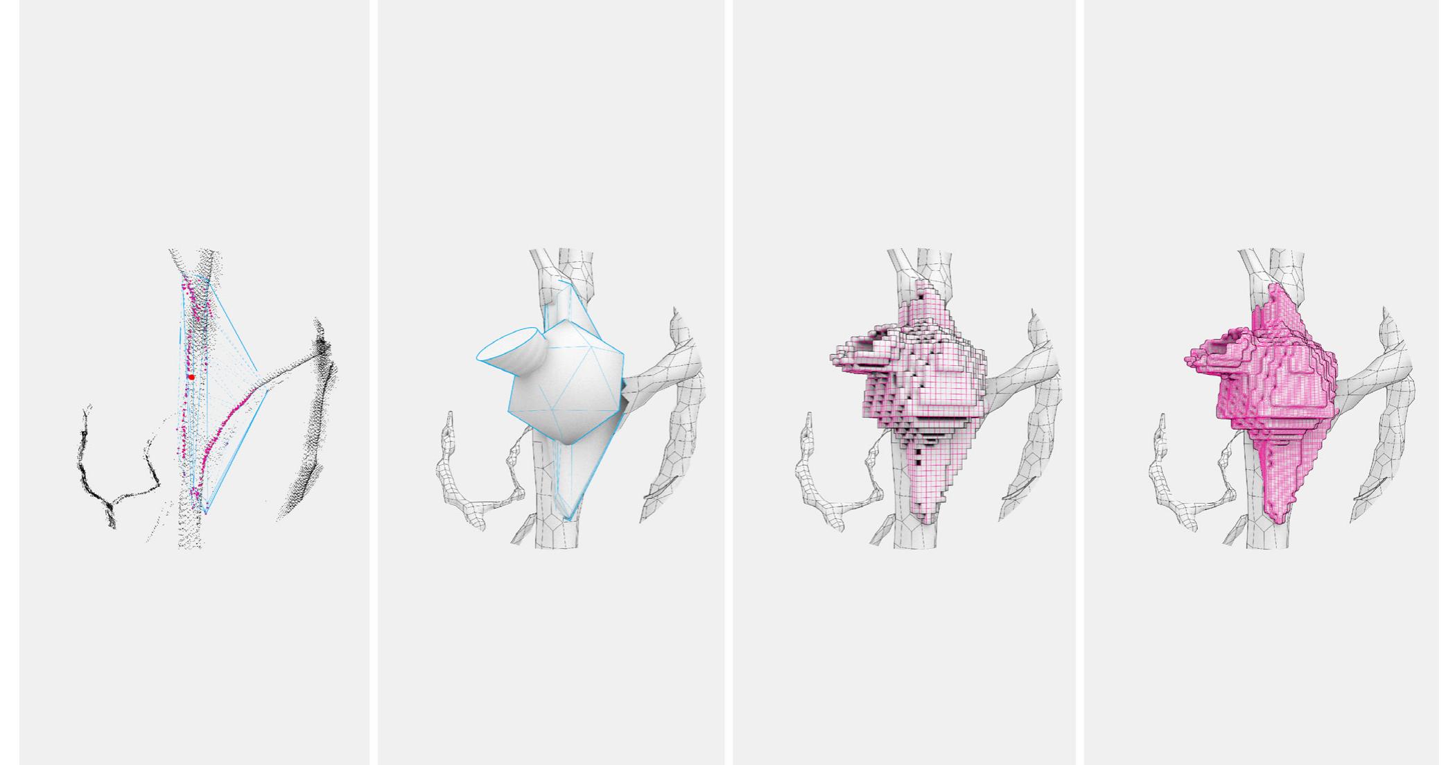 Fig. 5. Form-generation of prosthetic nests. Left: selection of cloud points around the chosen location on the tree. Middle-left: meshes generated to form the interior nest geometry, provide the entrance and landing pad, and attach to the tree’s specific geometry. Middle- right: voxels generated around the nest form to make a fabrication-ready unit. Right: voxels textured to allow for scratching and climb- ing. Such aids match internal structures of natural hollows that allow for easy exit to prevent entrapment and potential death of the young inhabitants [17]. Opportunities for scratching are also important to help juveniles gain independence [18]. 