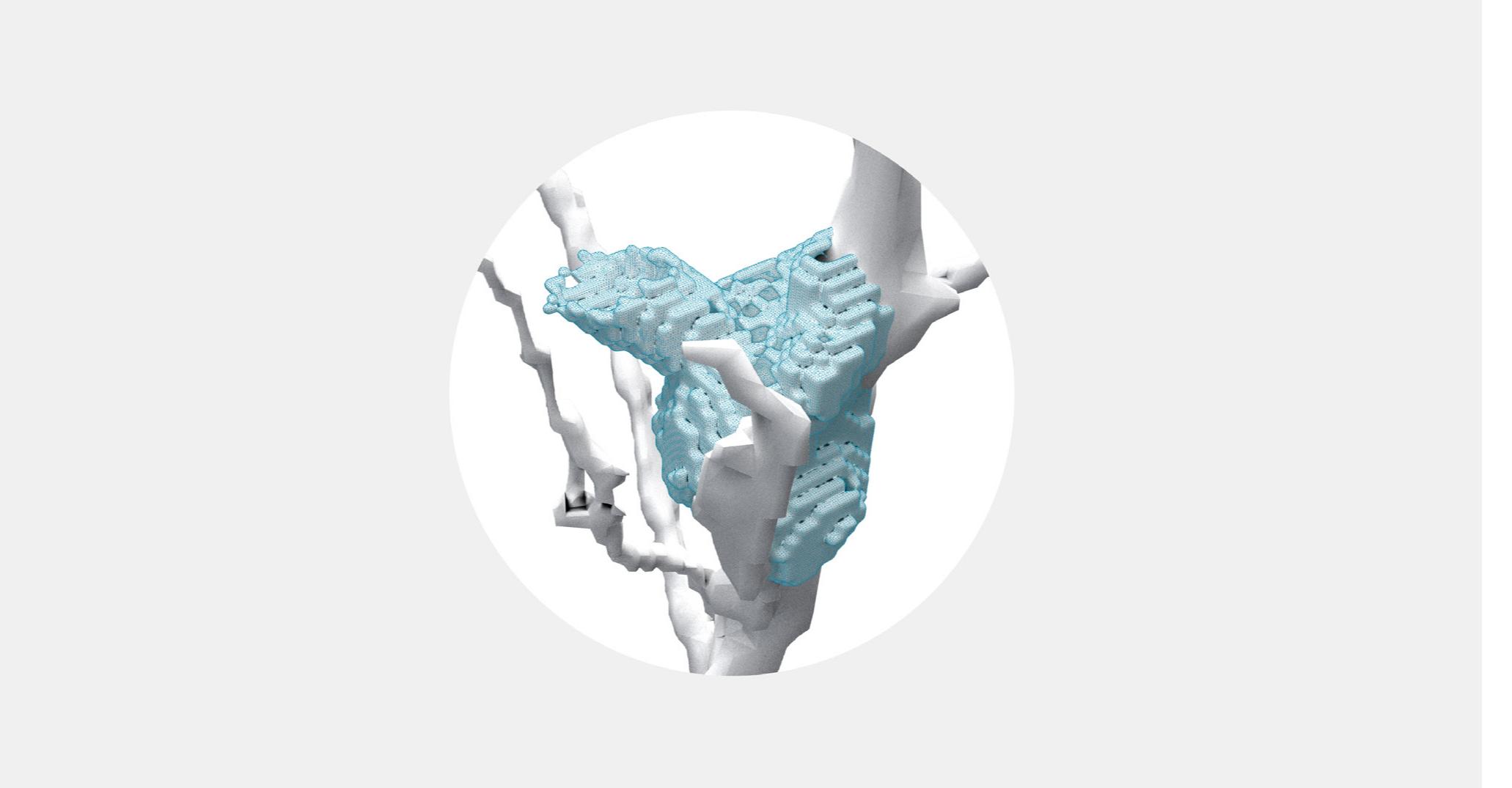 Fig. 6. A computational model of a prosthetic nest adapted to the specific geometry of the host-tree. Like termite mounds, prosthetic nests wrap around the unique forms of existing structures. 