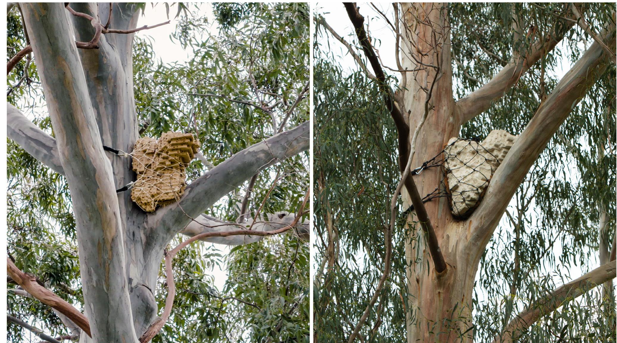 ee ee ee  Fig. 11. Left: A 3D printed prosthetic nest installed i in an inner-urban context (Parkville, Melbourne). Right: A hempcrete prosthetic nest installed in an urban-fringe context (Knox, Melbourne). 