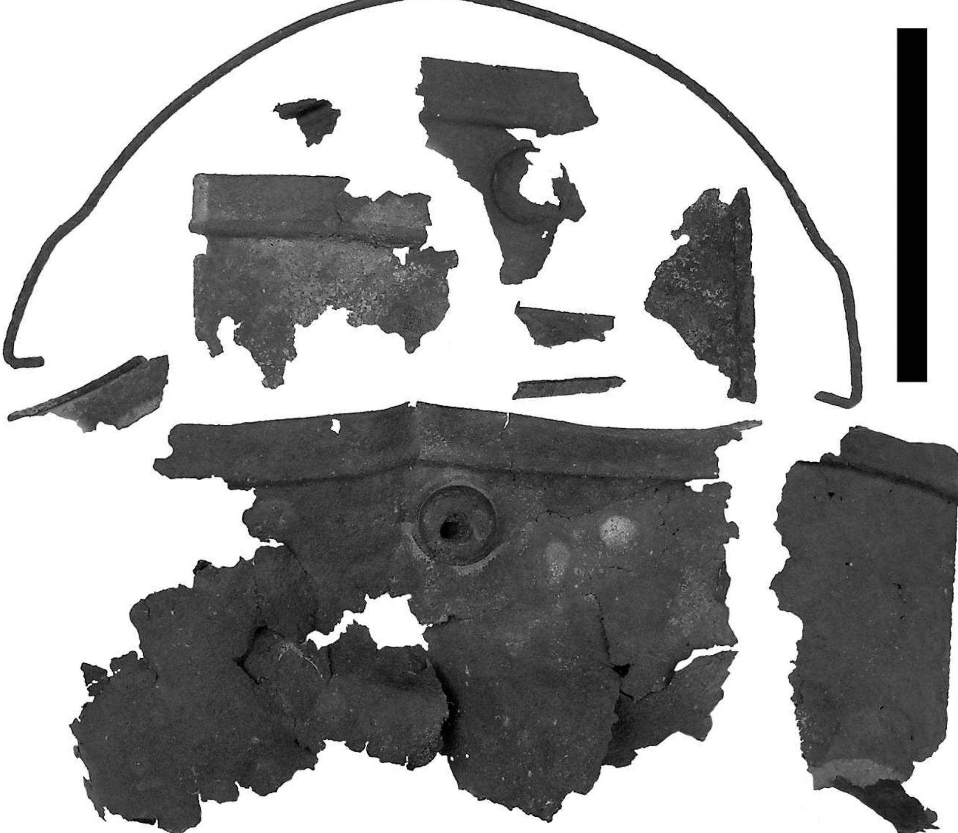 (PDF) Successful relocation of a lost 1914 Basilemys (Testudines ...