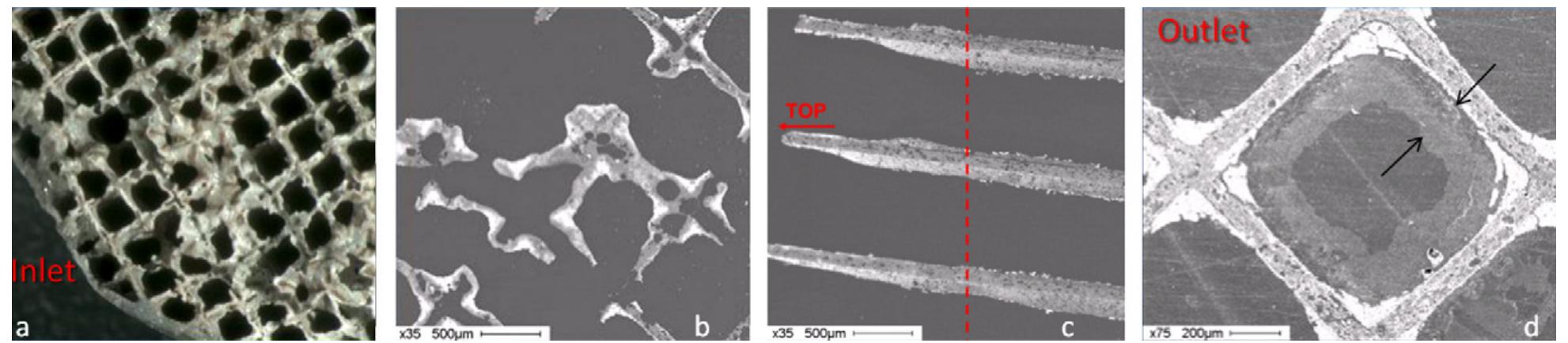 Sem Inlet Optical microscopy and sem-bse images of the pt-sn/lamno3