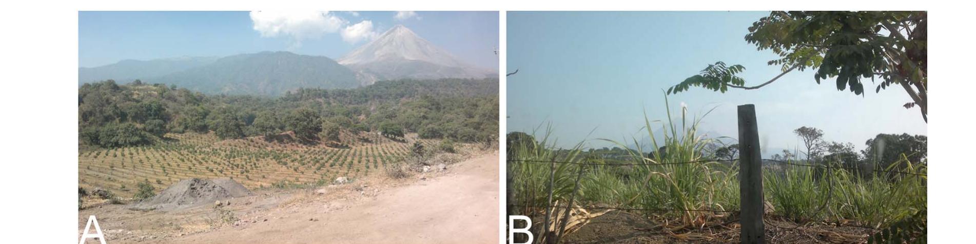Fig. 3. La Lumbre and Montegrande Basins.  Fig. 4. Agricultural activities in the study area. 