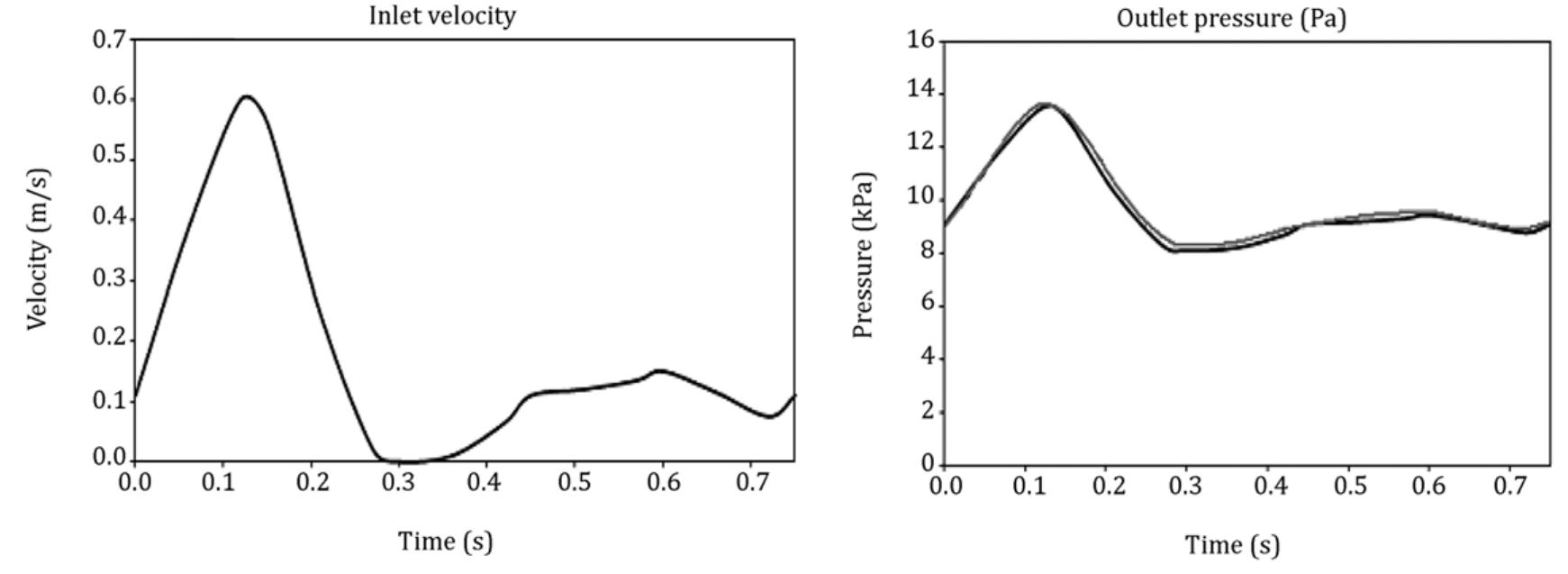 Figure 16 - from Numerical simulation of blood flow in a