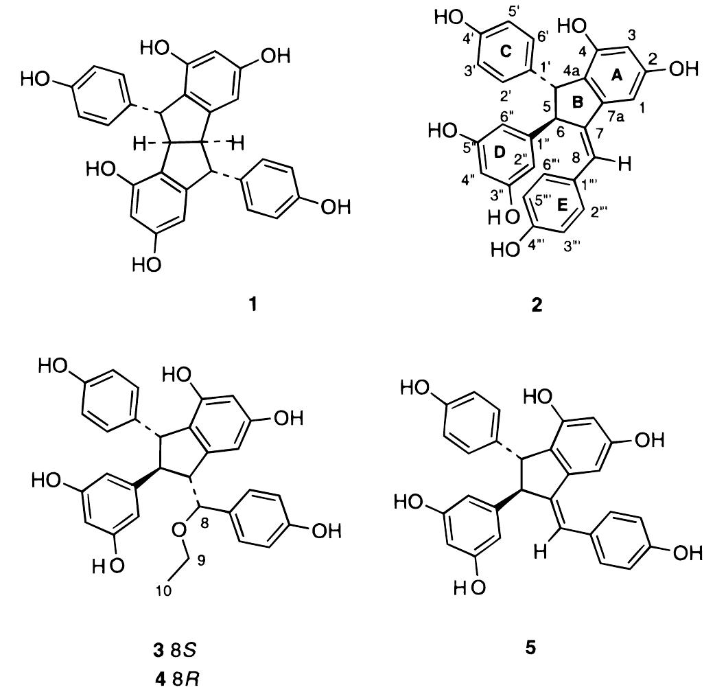 (PDF) Stilbene Derivatives from Cissus quadrangularis
