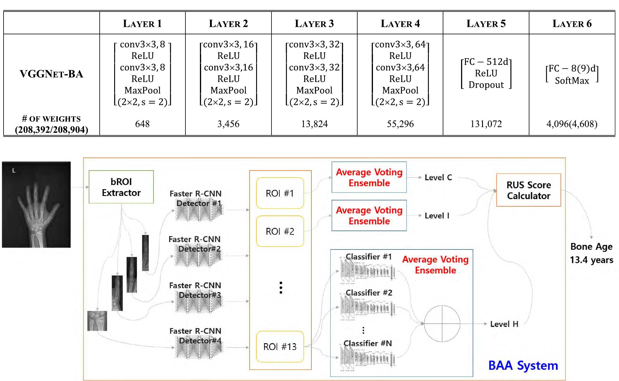 (PDF) TW3-Based Fully Automated Bone Age Assessment System Using Deep ...
