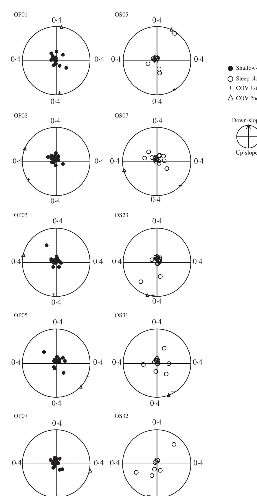 First Order Roots Trees (PDF) Root System Architecture of Quercus pubescens Trees Growing on ...
