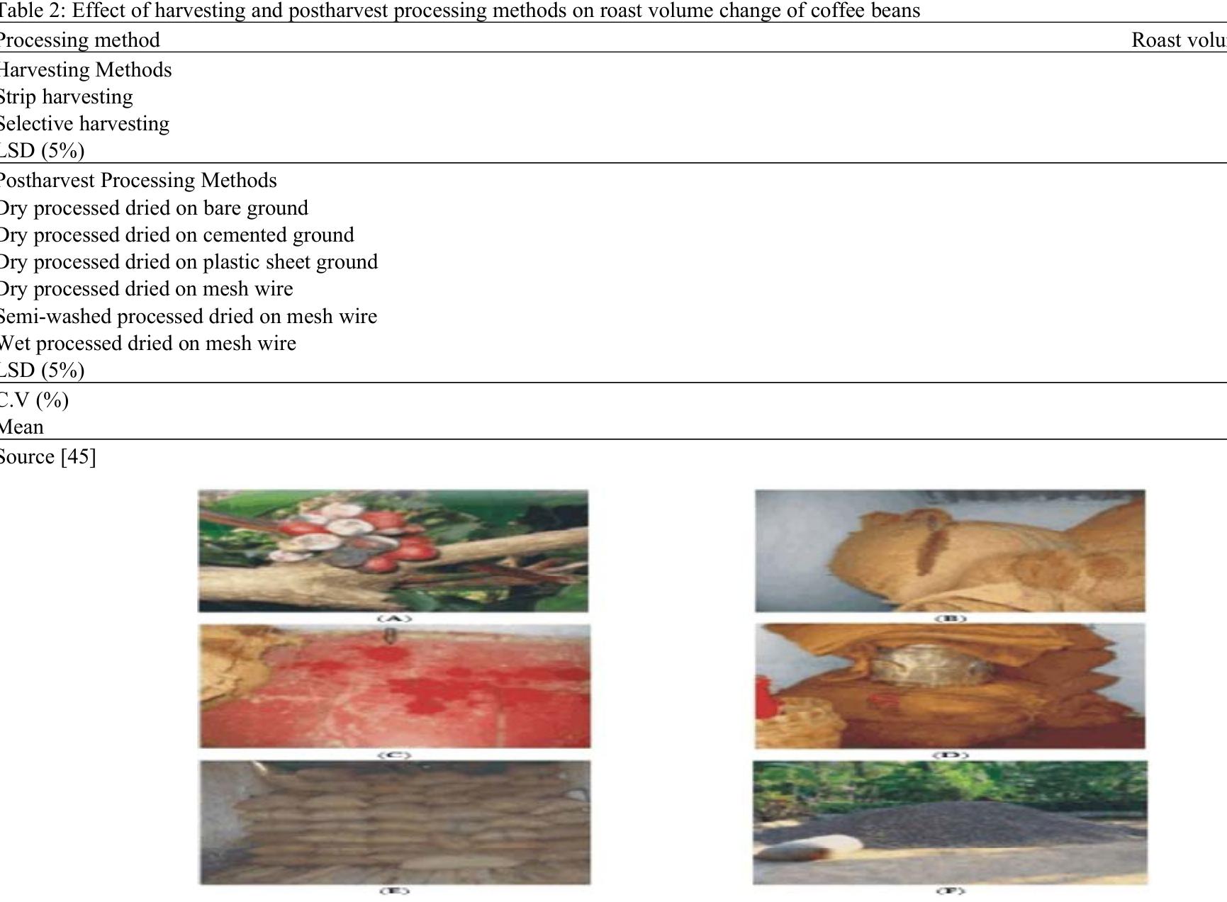 (PDF) Methods of Dry Processing Affecting the Cup Quality of Coffee Arabica
