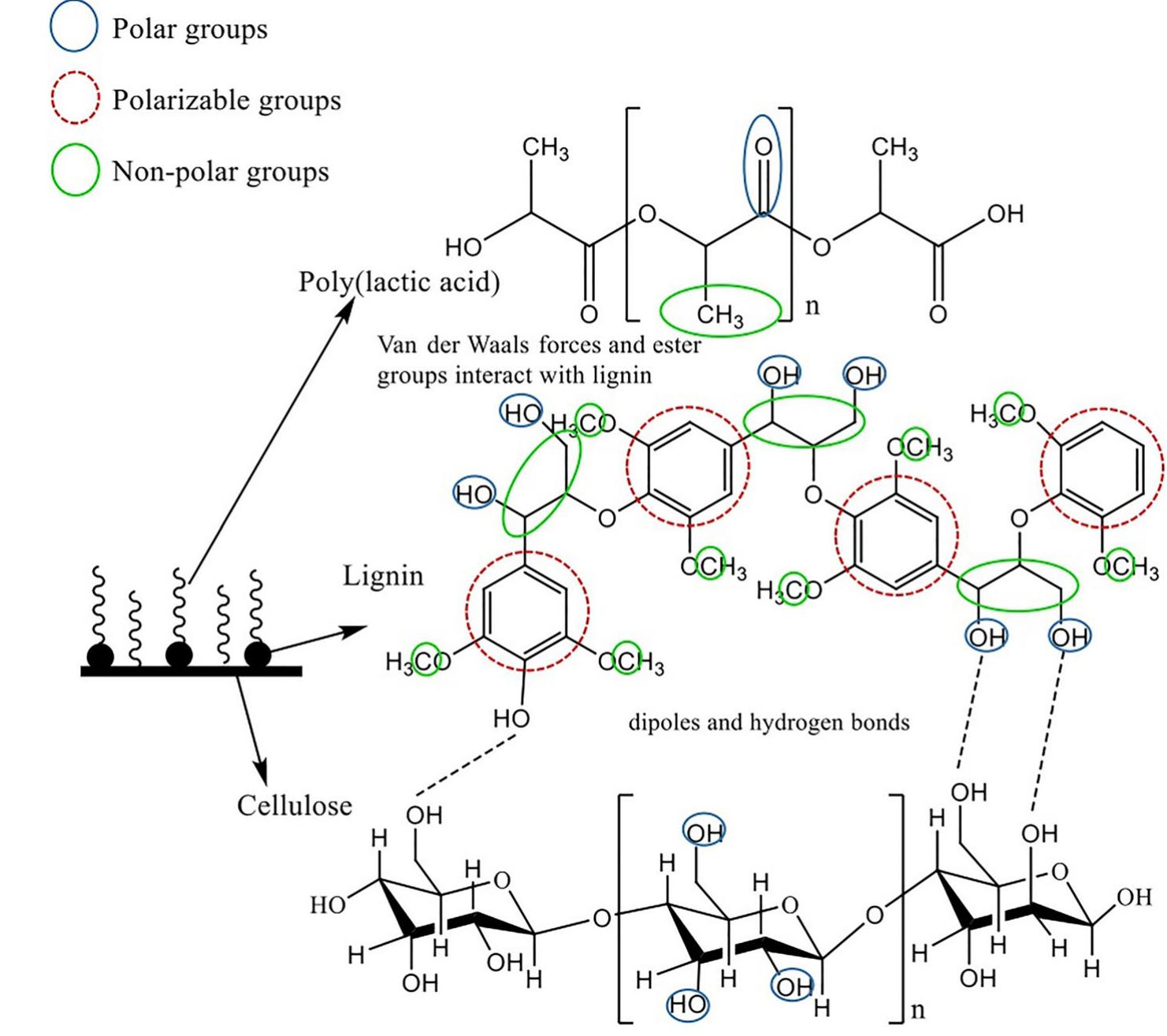 (PDF) Recent developments in lignin modification and its application in ...