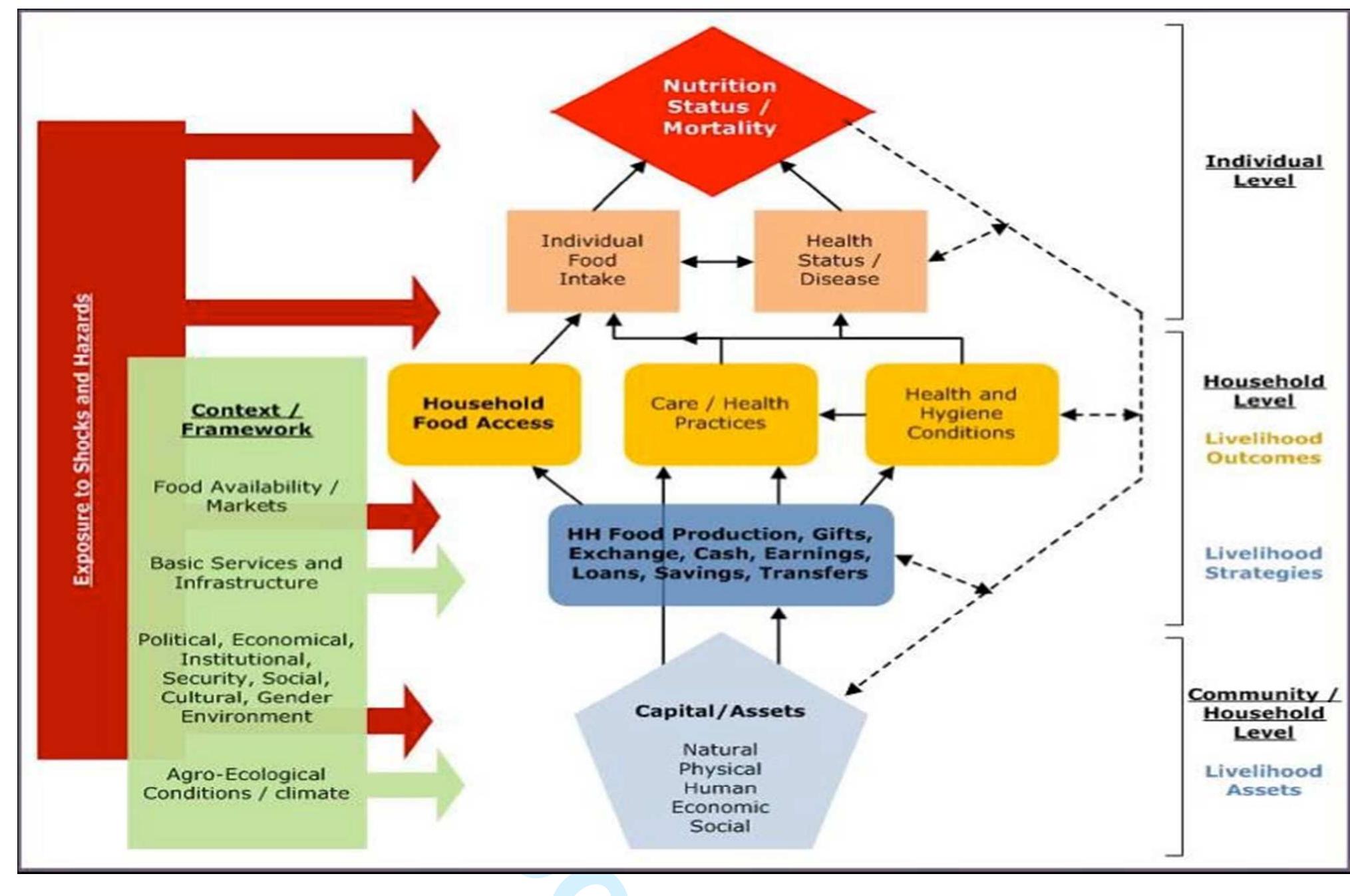 (PDF) Sustainable agricultural intensification practices and rural food ...