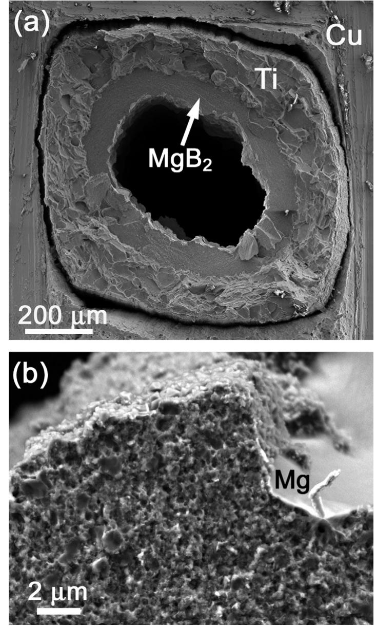 Figure 1 - from Microstructure of MgB2 superconducting wire