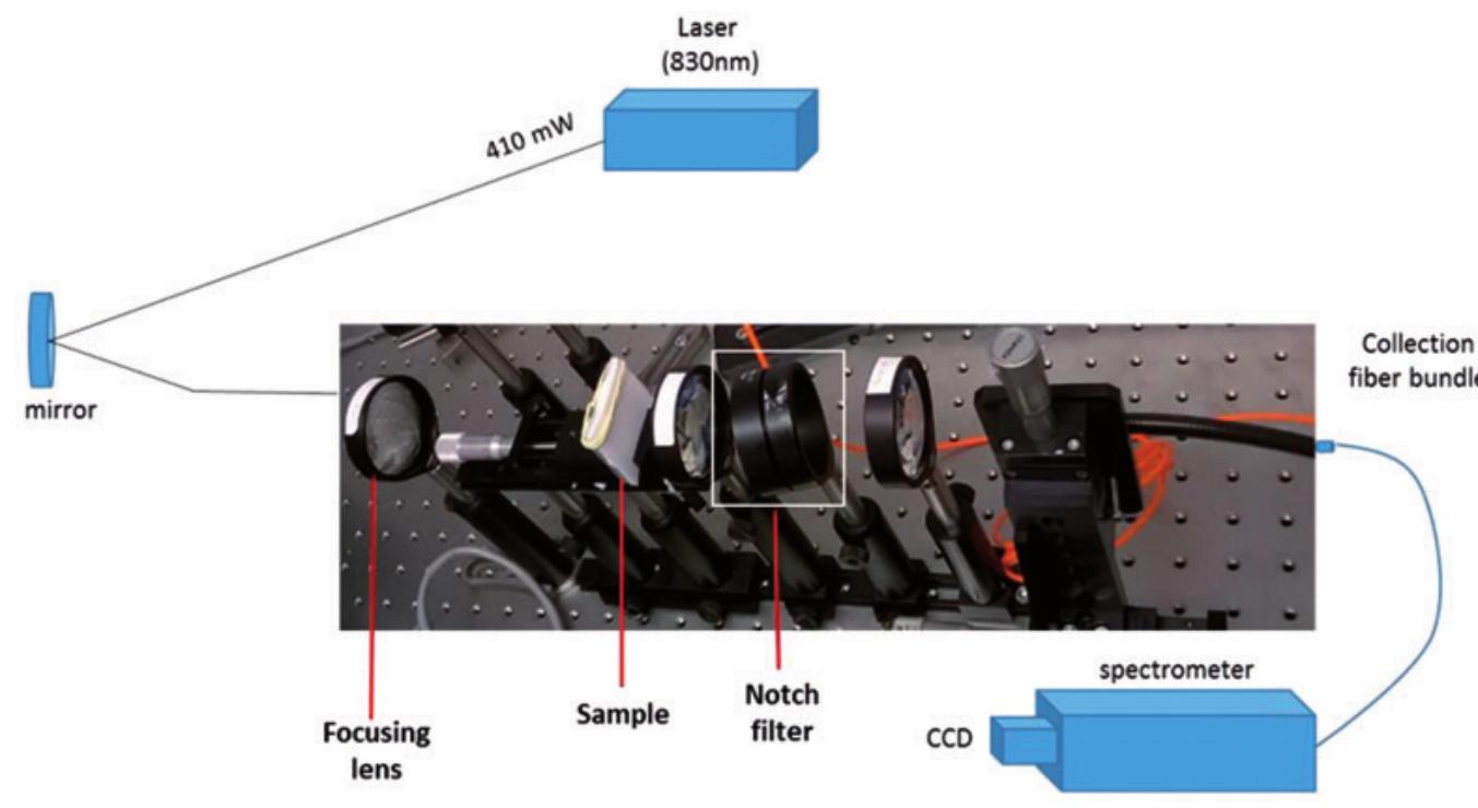 Sion Raman (PDF) Determination of Depth in Transmission Raman Spectroscopy in ...