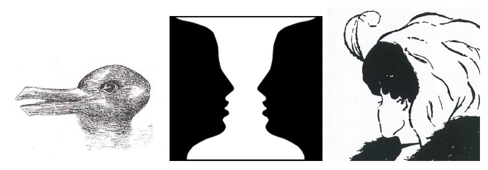 (PDF) Evolving ambiguous images