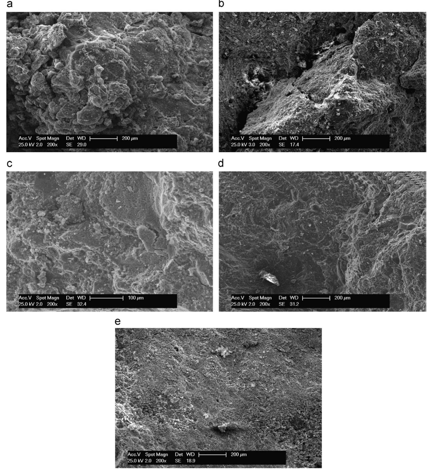 Microstructure shown at 200x magnification: (a) b100 - 0.5