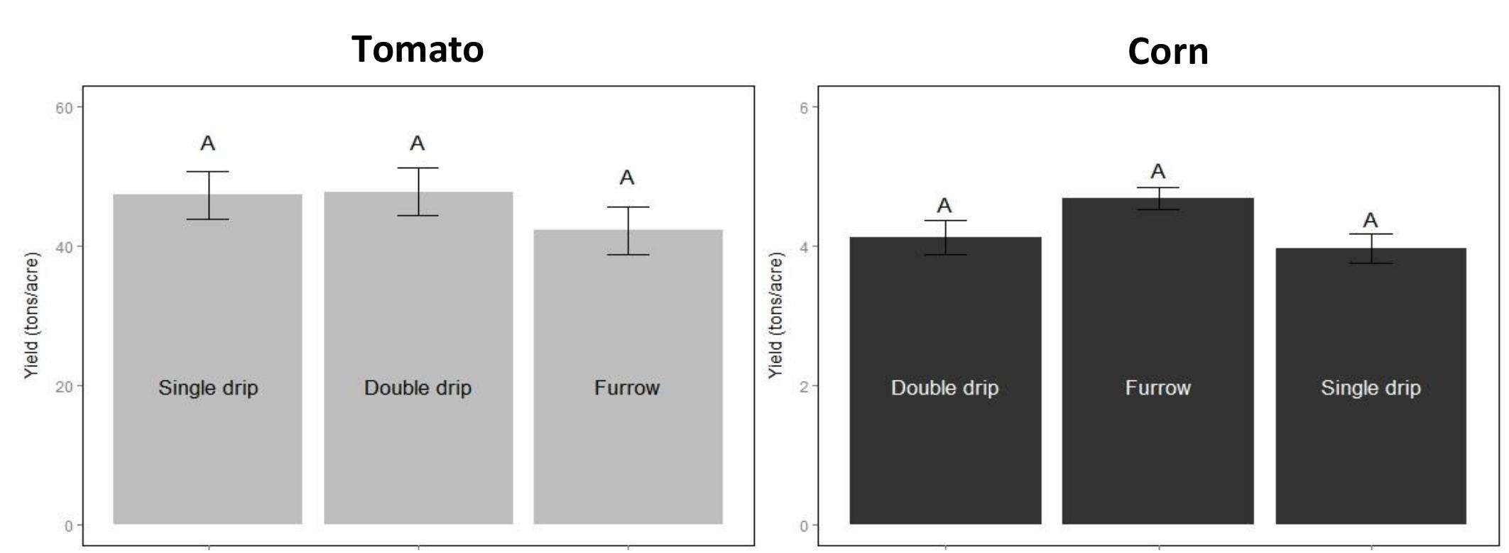 (PDF) Drip Irrigation Effect on Soil Function , Root Systems and ...