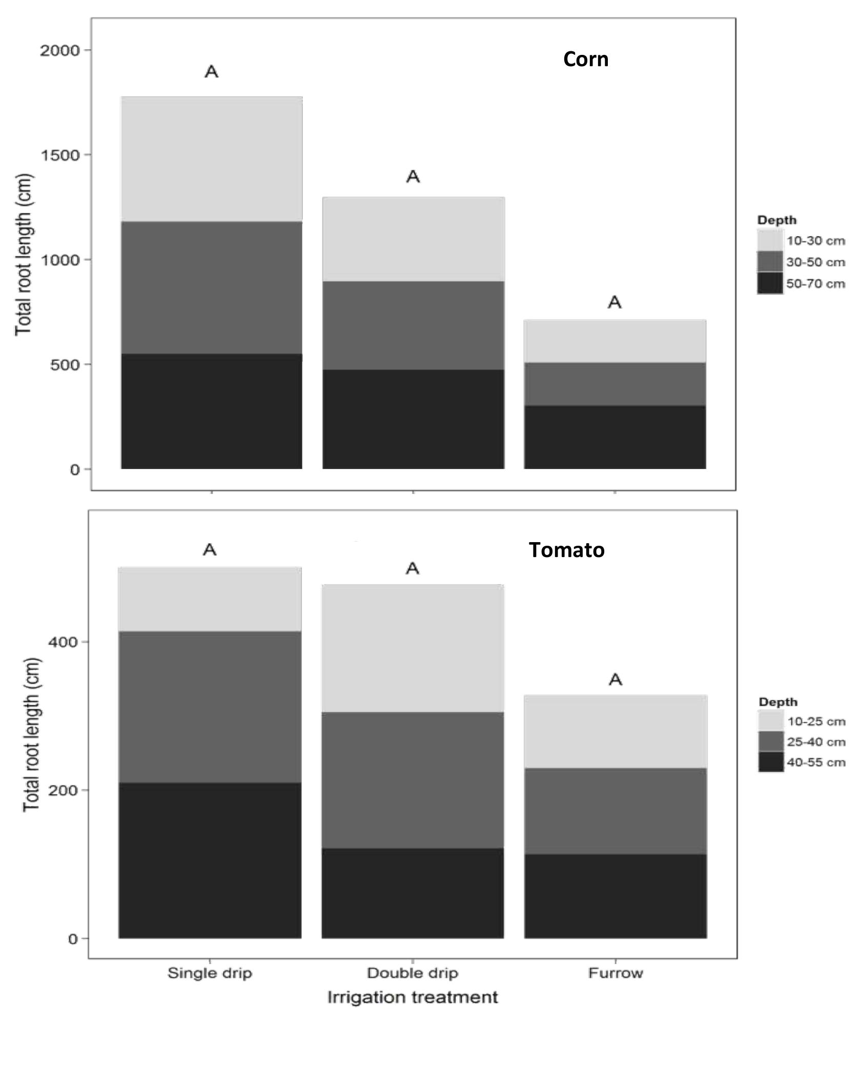 (PDF) Drip Irrigation Effect on Soil Function , Root Systems and ...