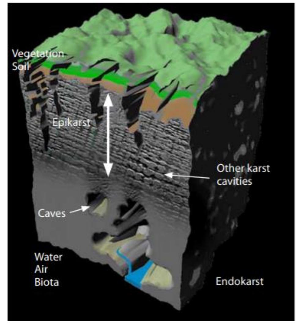 A karst unit (adapted from stokes et al. [5]). morphology,