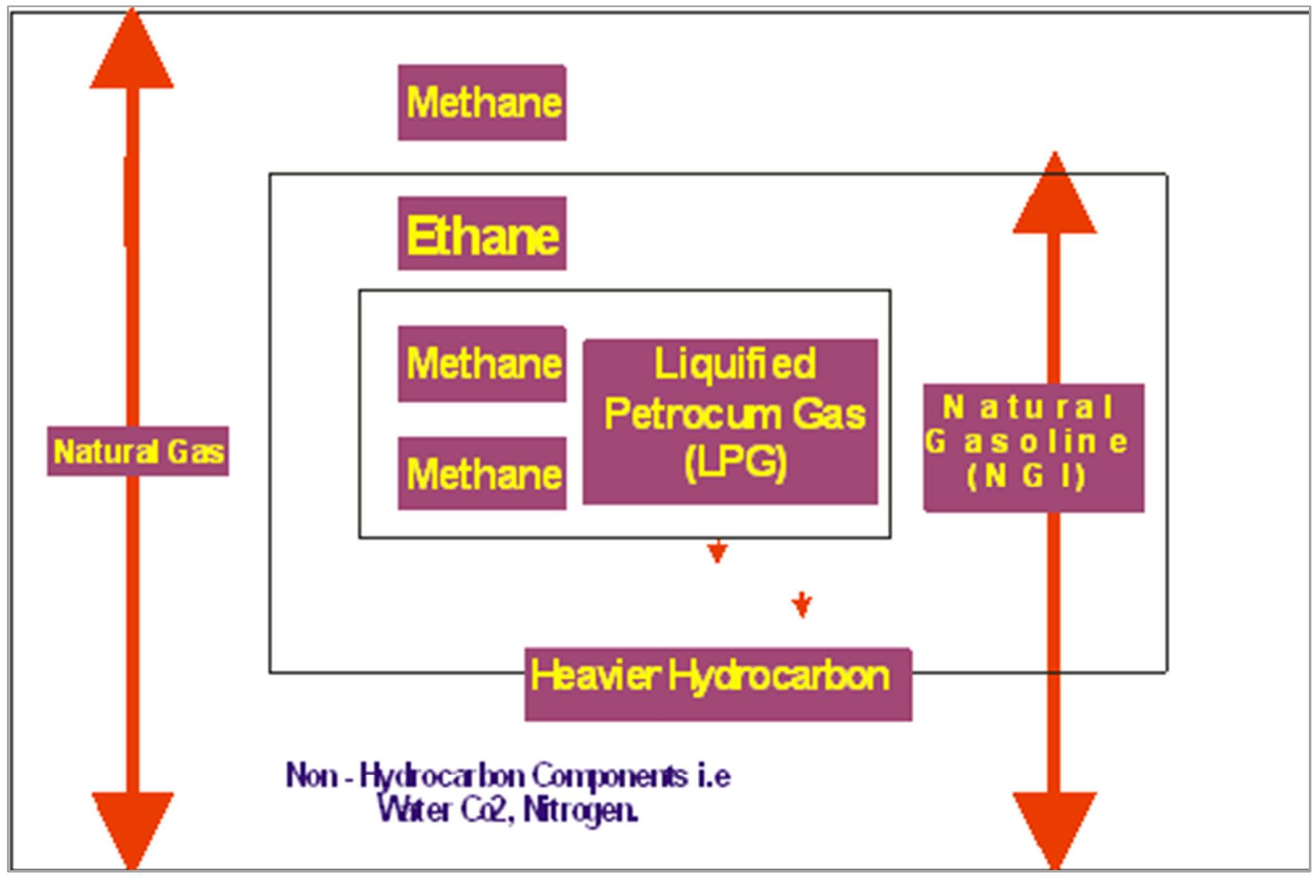 Schematic diagram of the western gas pipeline network [10].