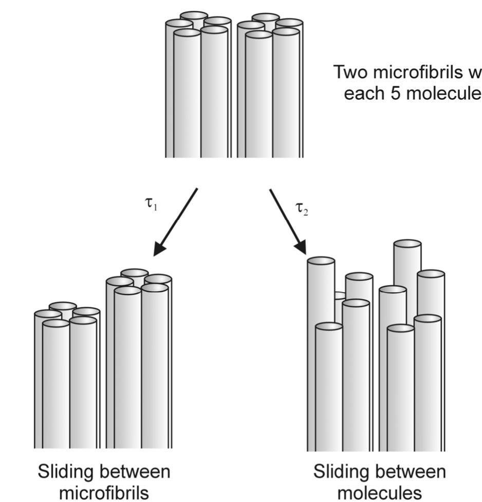 Figure 46 - from Mechanical properties of collagen fibrils