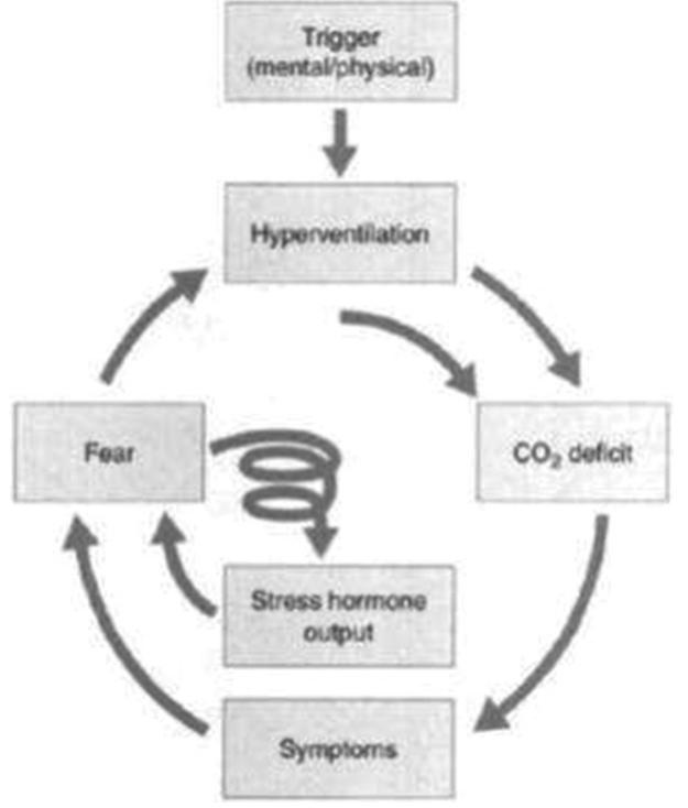 (PDF) A Case Study on Breathing Rehabilitation in a 32-year-old Male ...