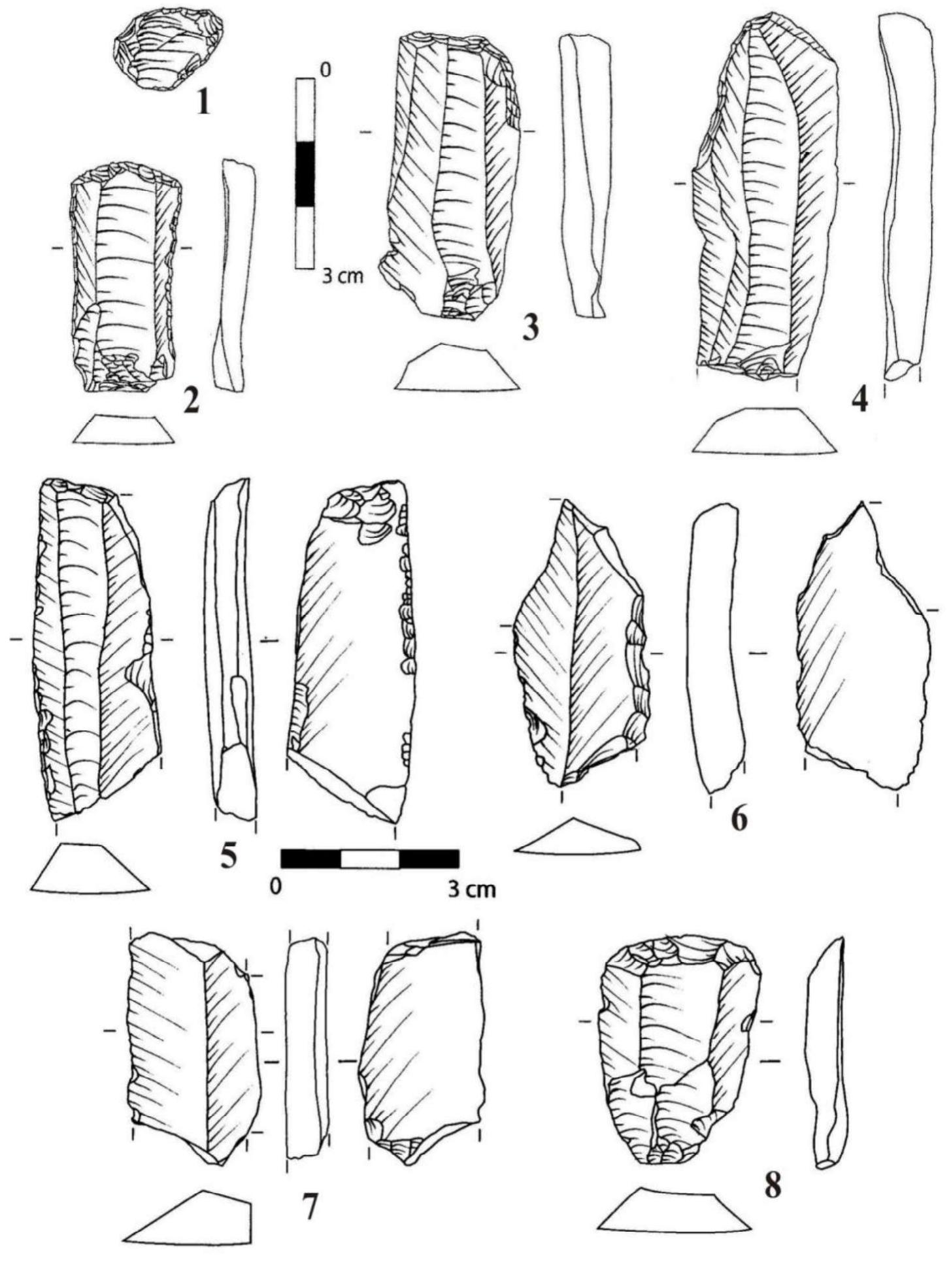 Pl. VI. Flint tools discovered at Slava Rusa. 