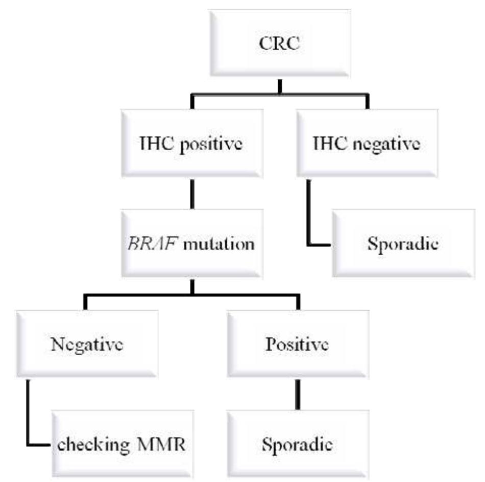 (PDF) Clinical implications of BRAF mutation test in colorectal cancer